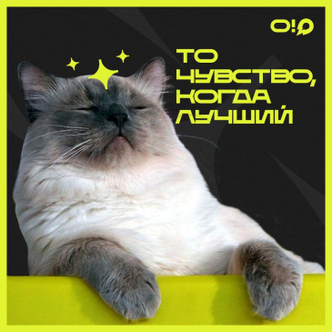 И это но-о-о-о-овый рекорд! К которому причастны и вы, друзья И это но-о-о-о-овый рекорд! К которому причастны и вы, друзья