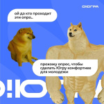 В твоем городе достаточно молодежных центров, спортивных клубов и досуговых локаций?