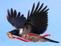 9 ������ - ������� ����