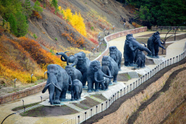 � ���� ��������� ����� ������ �� ��������� ���������� ������������ � ����� ������� ��� ����������