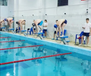 ����� ���������� ������ ������ ������� � �������� ���������� �����������