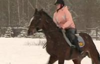 ��������� ��������� ������� ������ ���� ������� ��������� �����